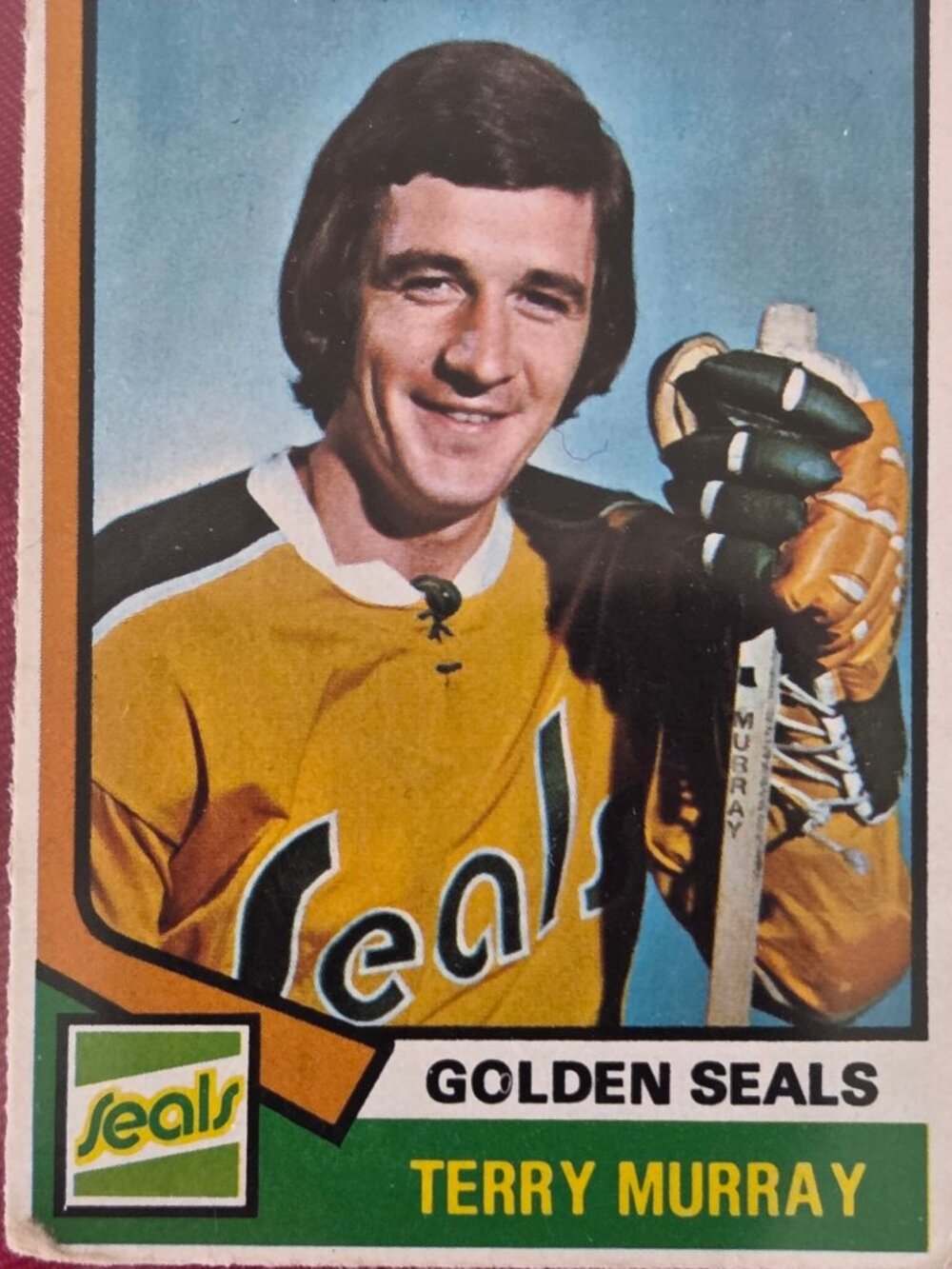 RARE, VINTAGE, 1974 OPEE CHEE, TERRY MURRAY, CALIFORNIA GOLDEN SEALS HOCKEY CARD